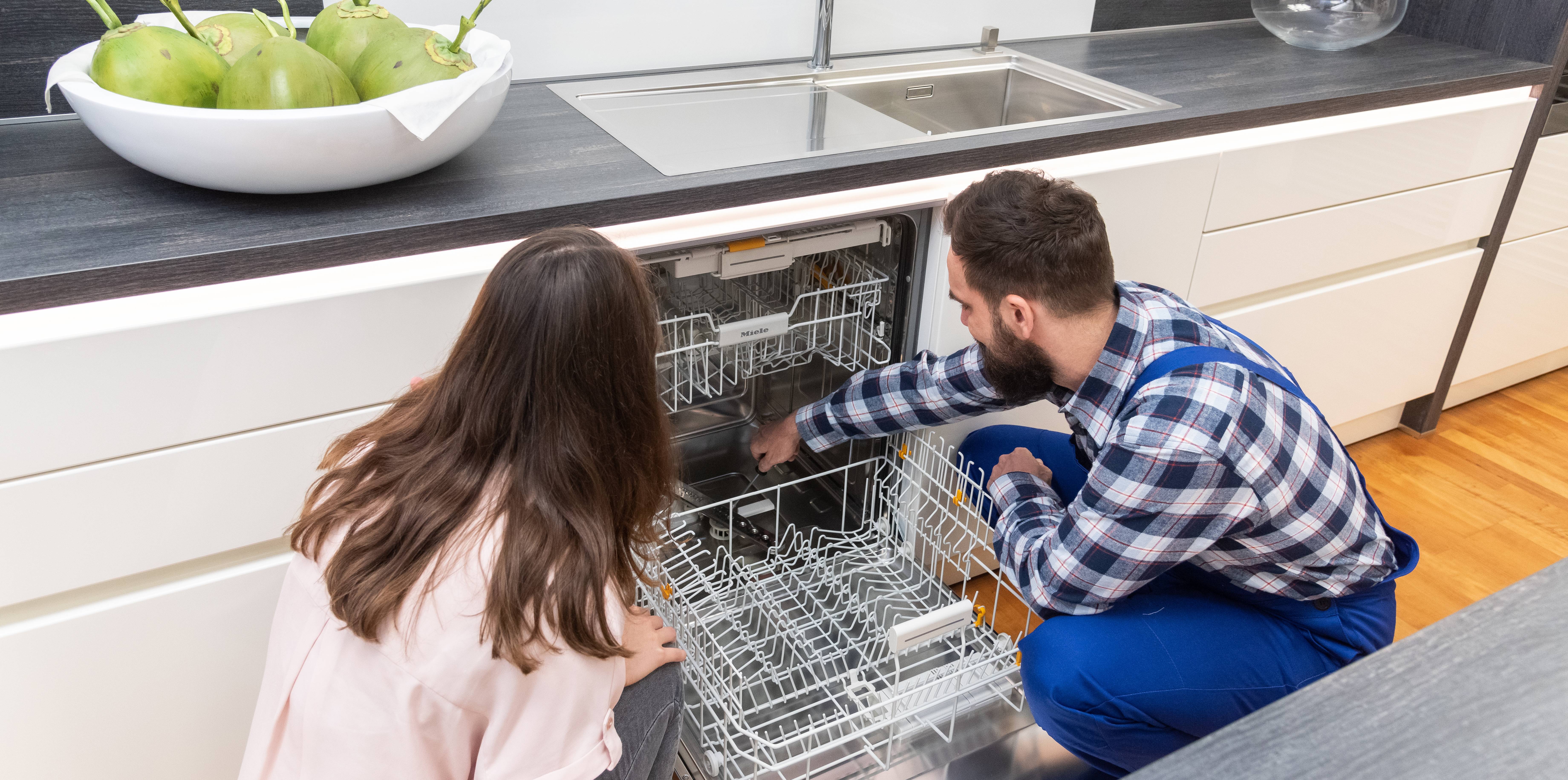 Kundendienst Service Geschirrspüler Reparatur Handwerker Kundin 2020